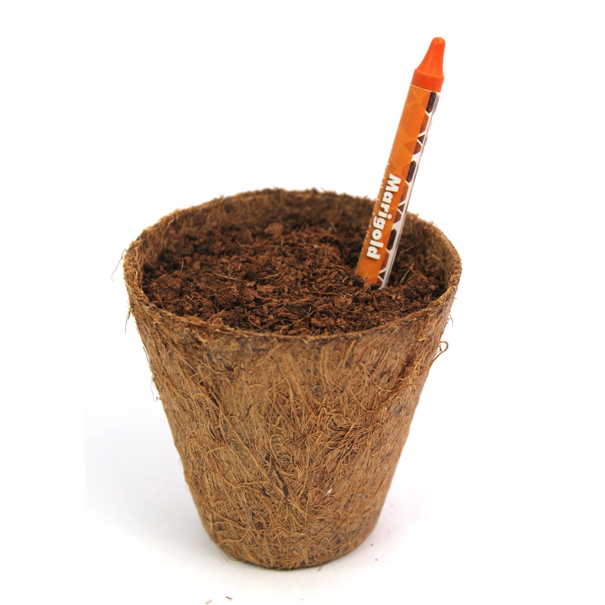 Alt-Eco Plantable Crayons (9 Pc )-BG06
