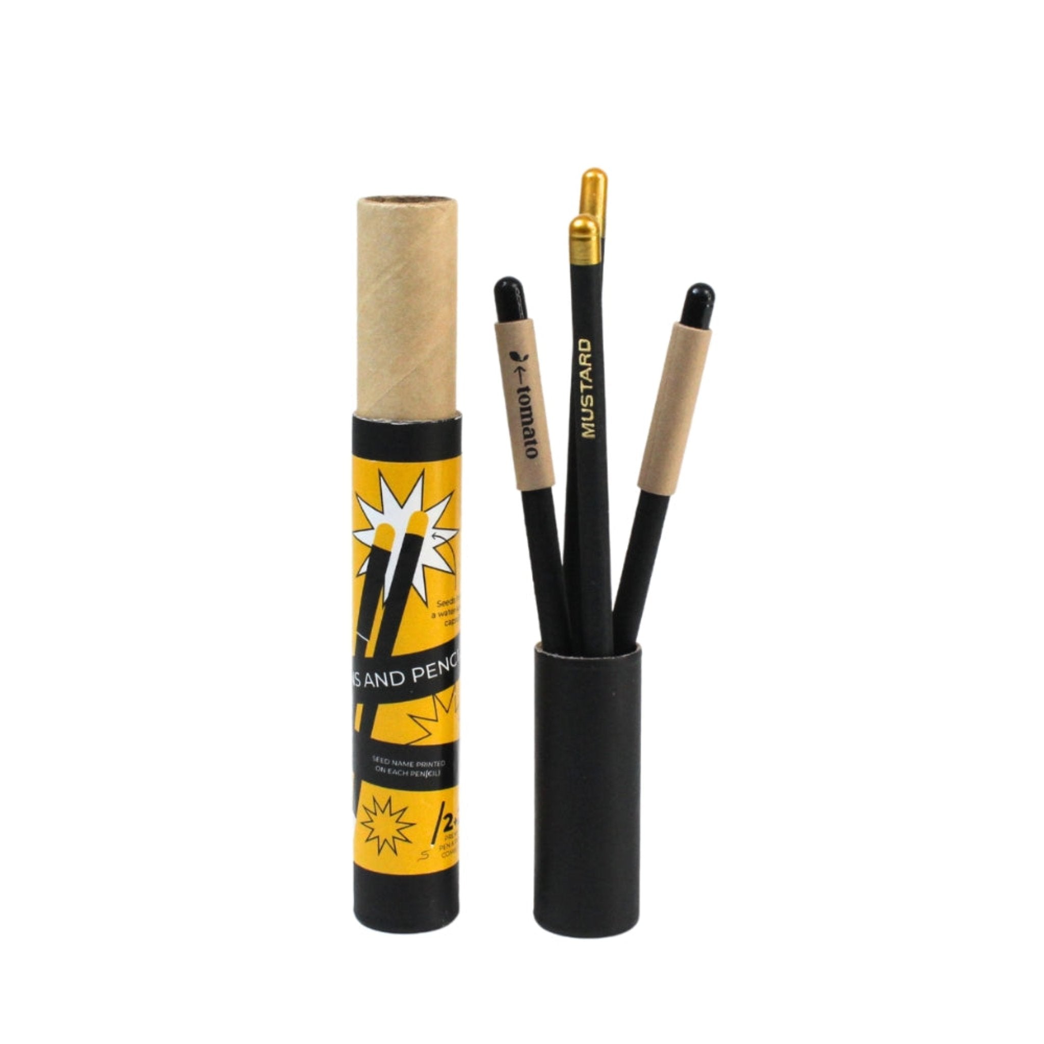 Prestige Pro 2+2 Combo Premium Plantable Pen & Pencils ( black Gold )-GZ14-P
