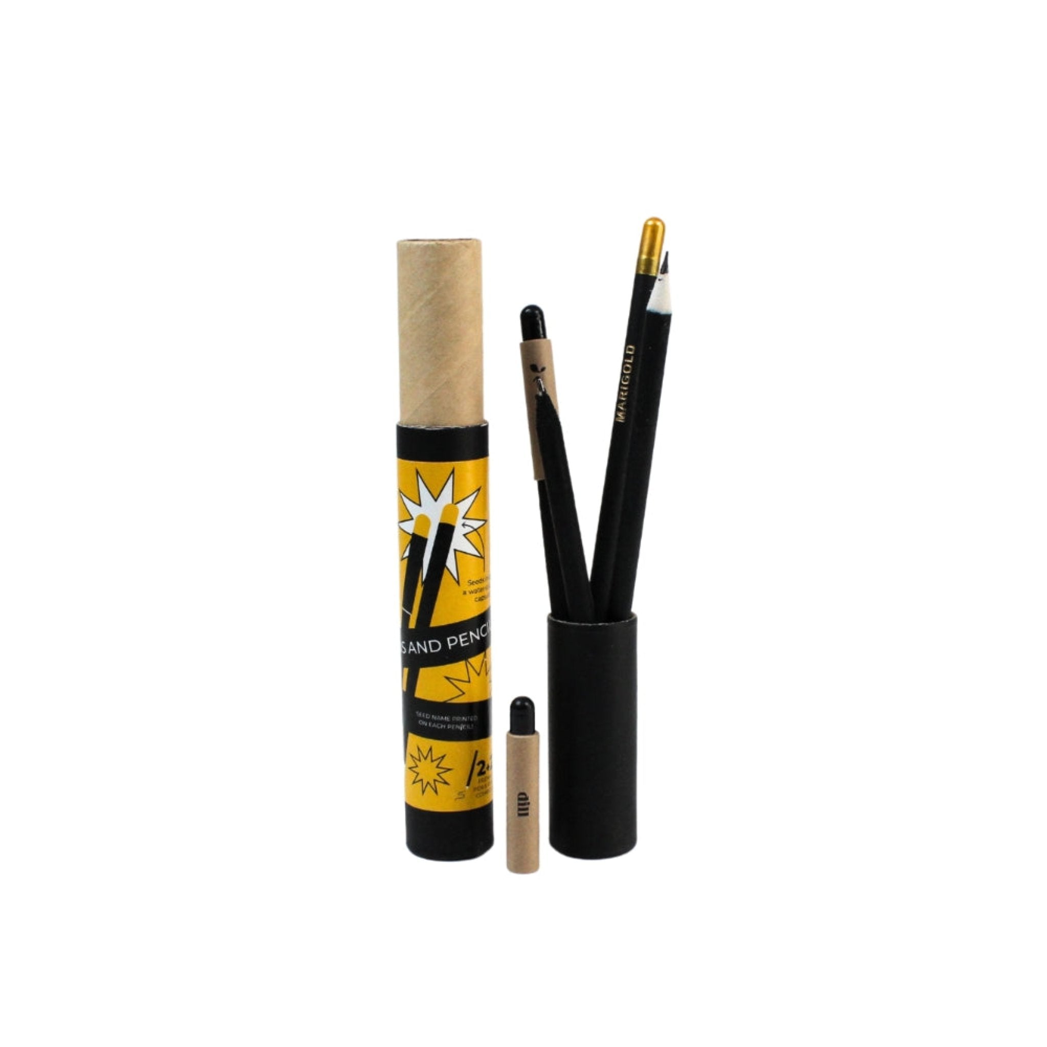 Prestige Pro 2+2 Combo Premium Plantable Pen & Pencils ( black Gold )-GZ14-P