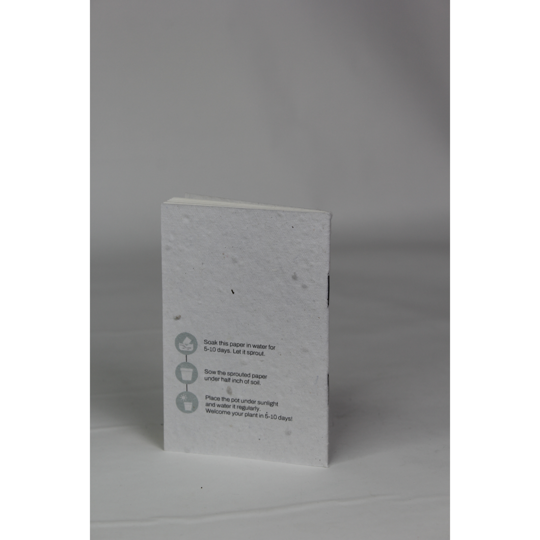 Scribble Mini Plantable Notepad Center Pin 3"x 5": 40p-BG21-P