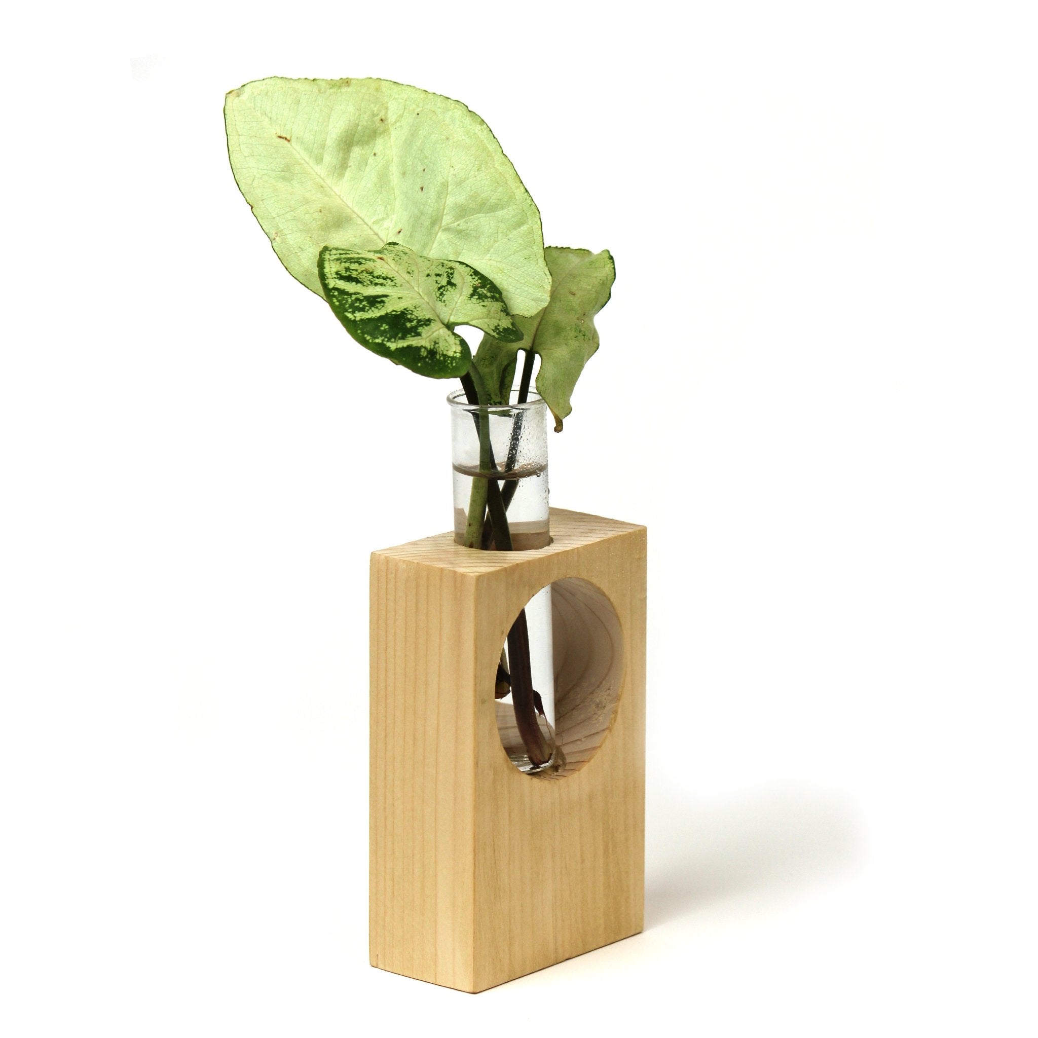 Desk Wooden Tube Plant Holder-WS22