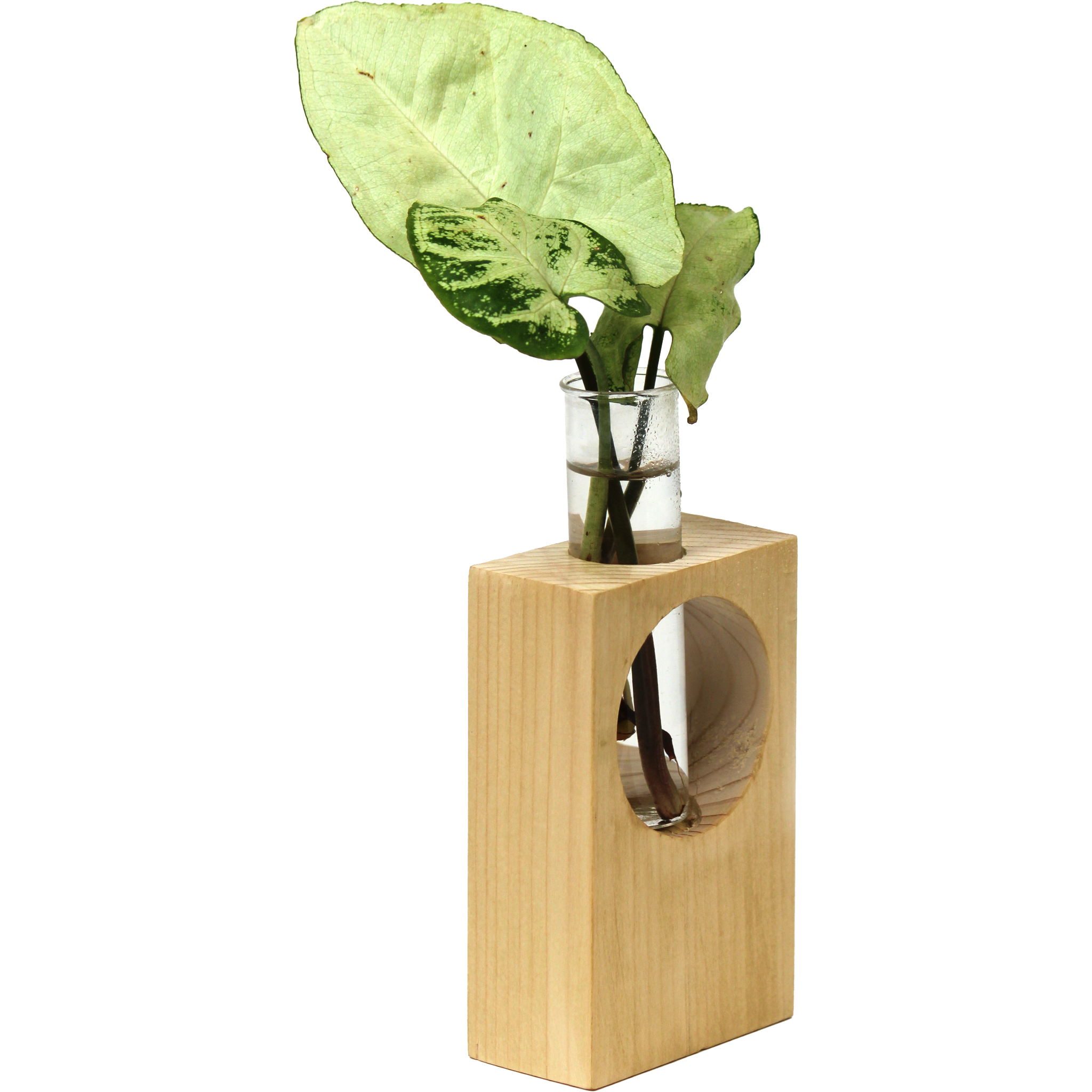 Desk Wooden Tube Plant Holder-WS22