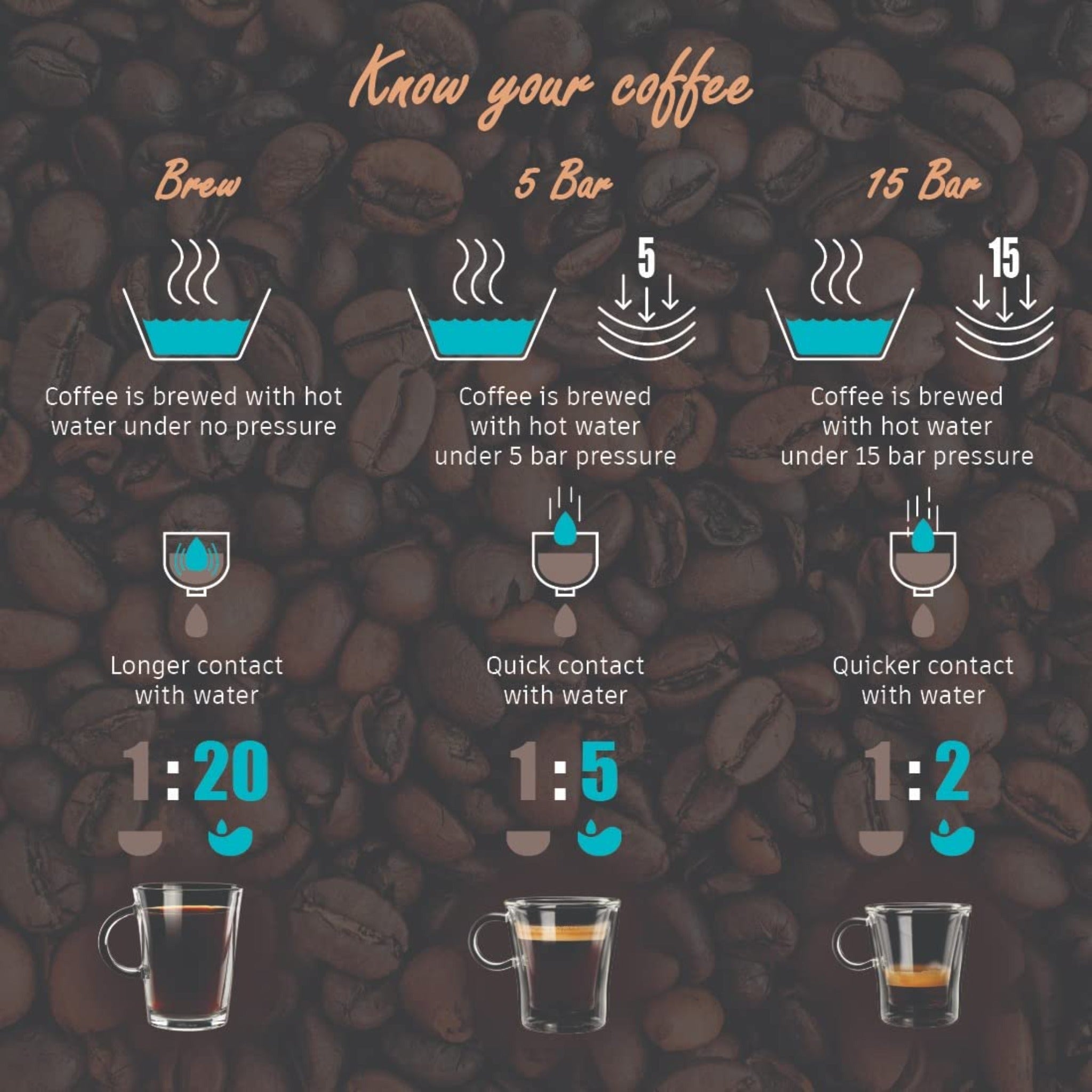 Regalia Brew Coffee Maker