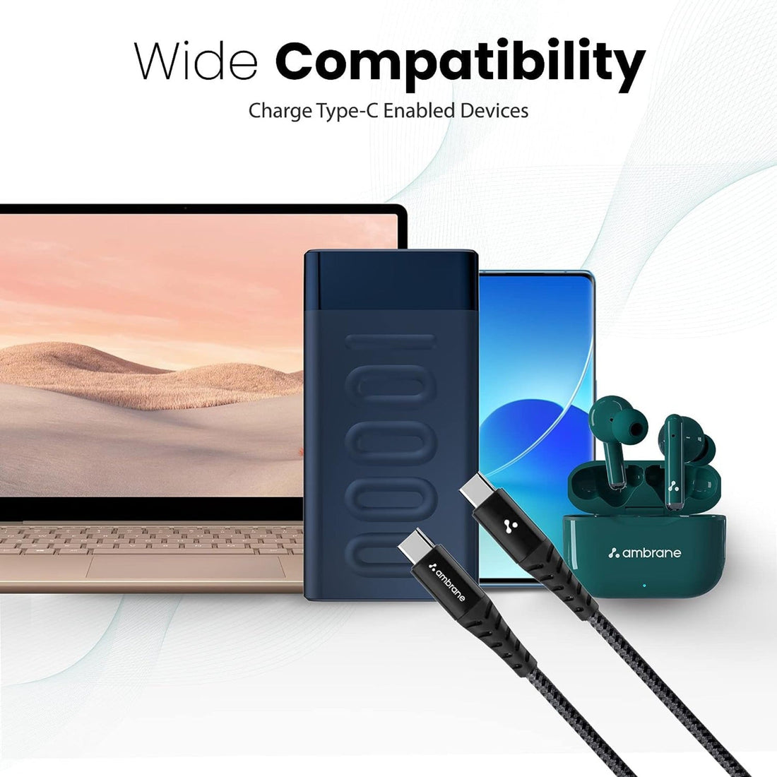 Ambrane 100 W Power Transfer braided Cable (1.5 M) - ABCC-100