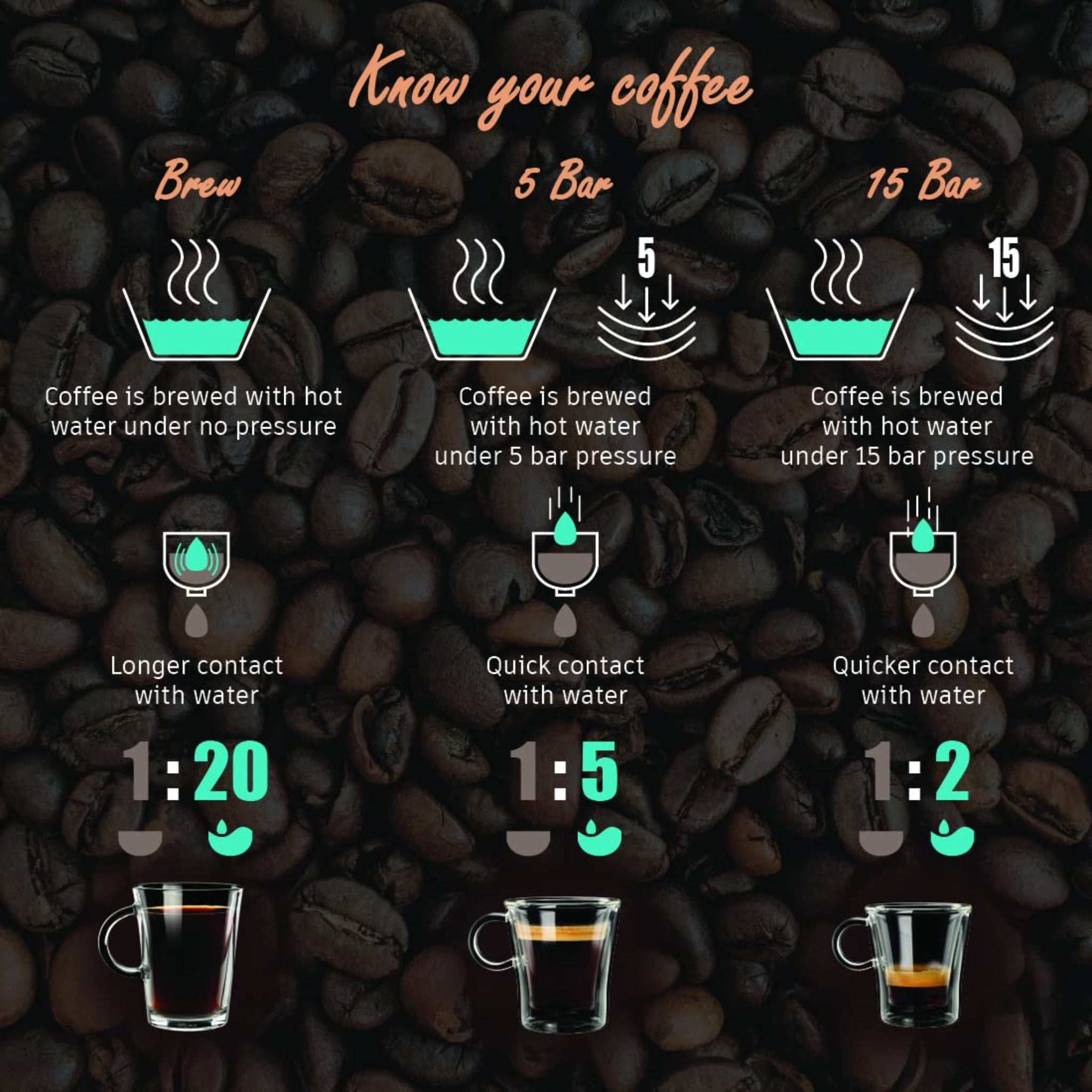 Regalia Espresso Coffee Maker 15 Bar