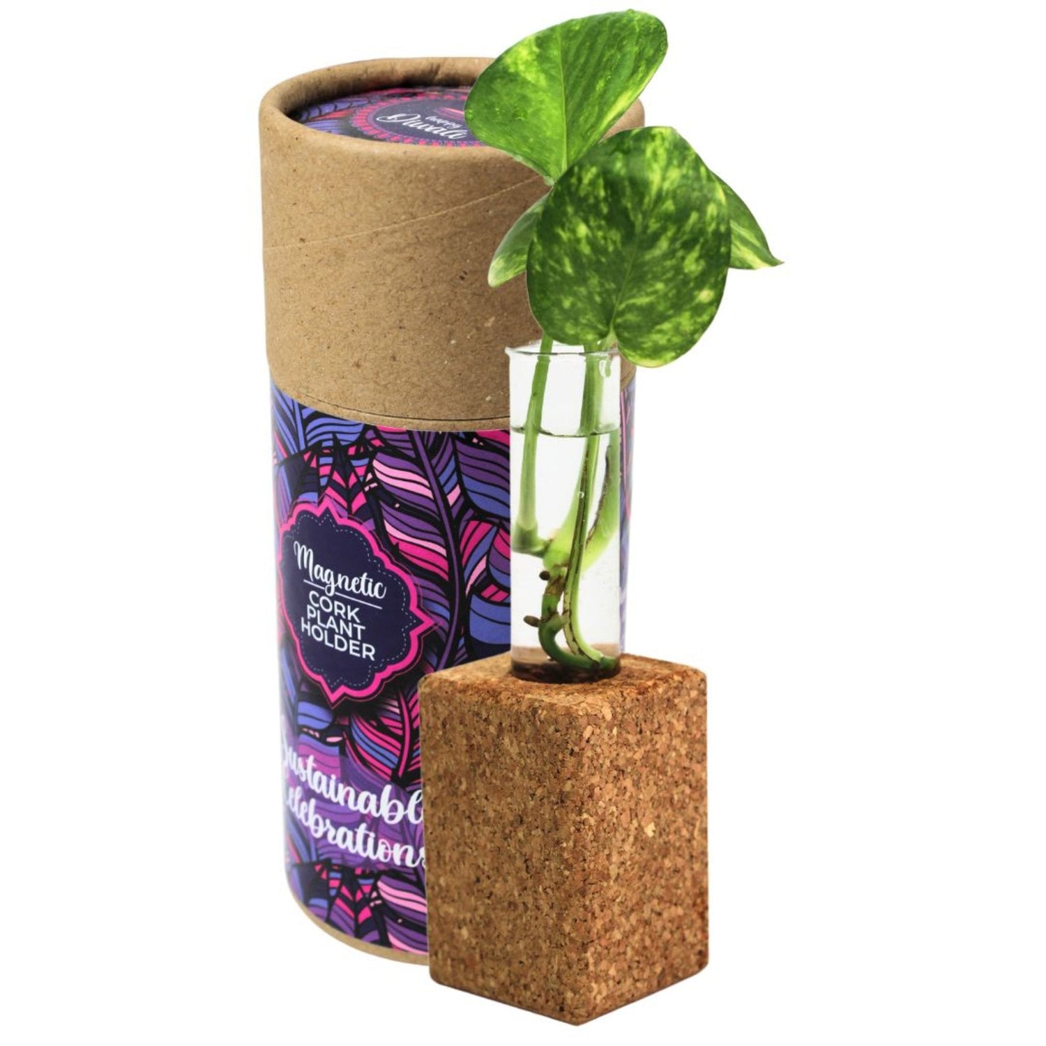 Magnetic Cork tube Plant Holder-CK21(M)