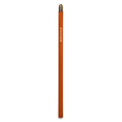 Premium Paper Pen-OQ10