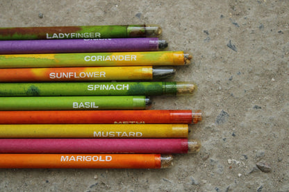 Garden Seed Pencil Set ( 12 Pc )-BG02