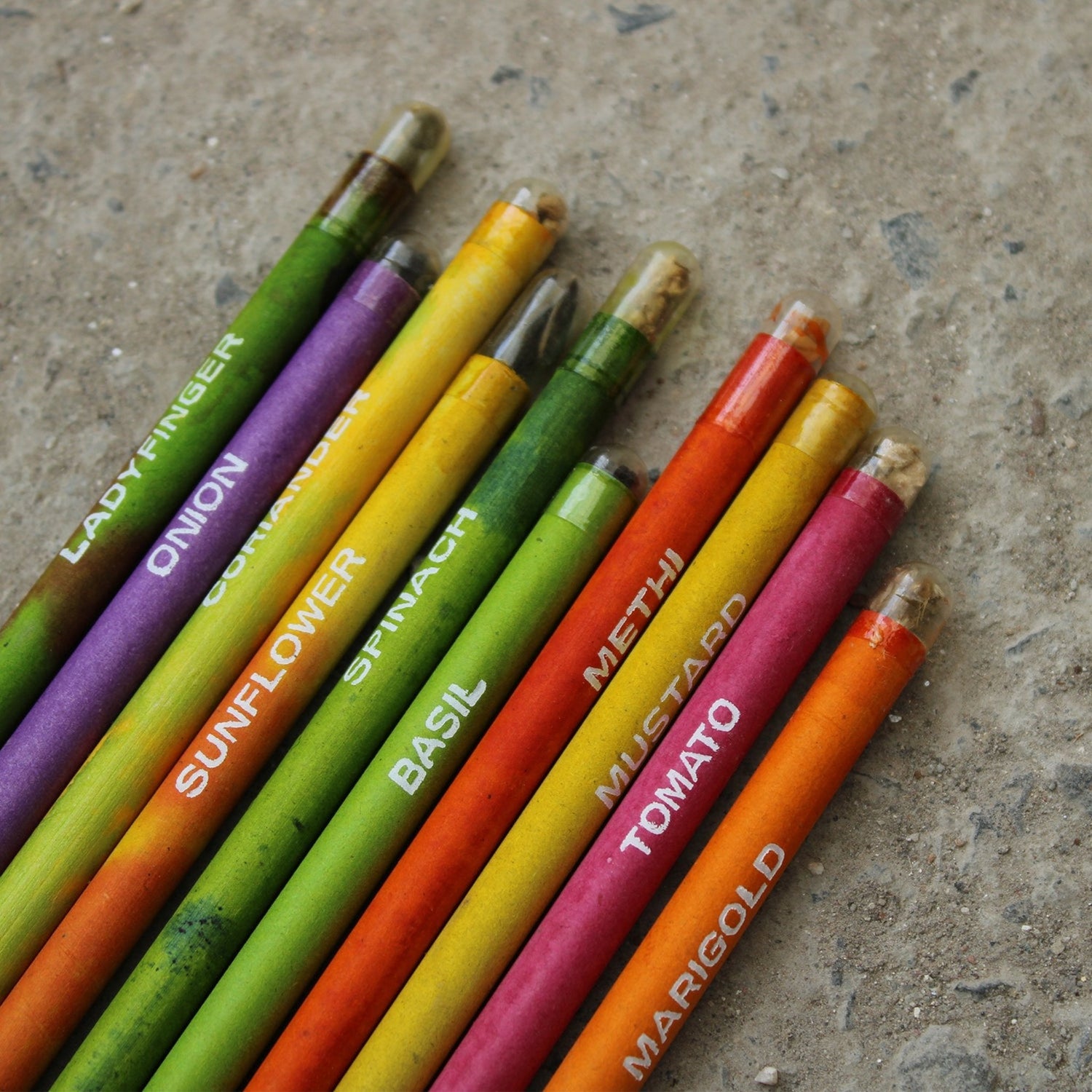 Garden Seed Pencil Set ( 12 Pc )-BG02