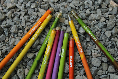 Garden Seed Pencil Set ( 12 Pc )-BG02