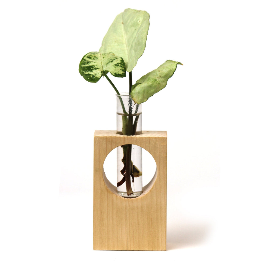 Desk Wooden Tube Plant Holder-WS22