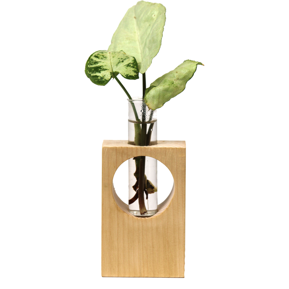 Desk Wooden Tube Plant Holder-WS22